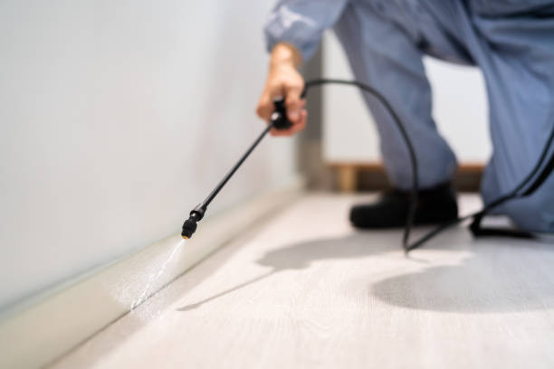 Licensed Termite Control service in Excelsior, MN - Nex Pest Control
