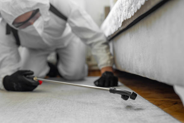 Professional Termite Control technician working in Excelsior, MN